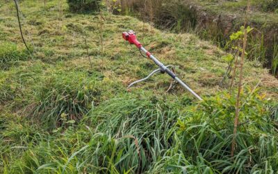 #cleaning the east #swale berm
