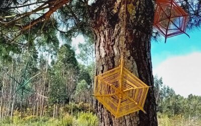 After several months, our guests left us to chase their dreams. They stole my heart but left some surprise gifts in our garden, such as these dream catchers. I miss them already.