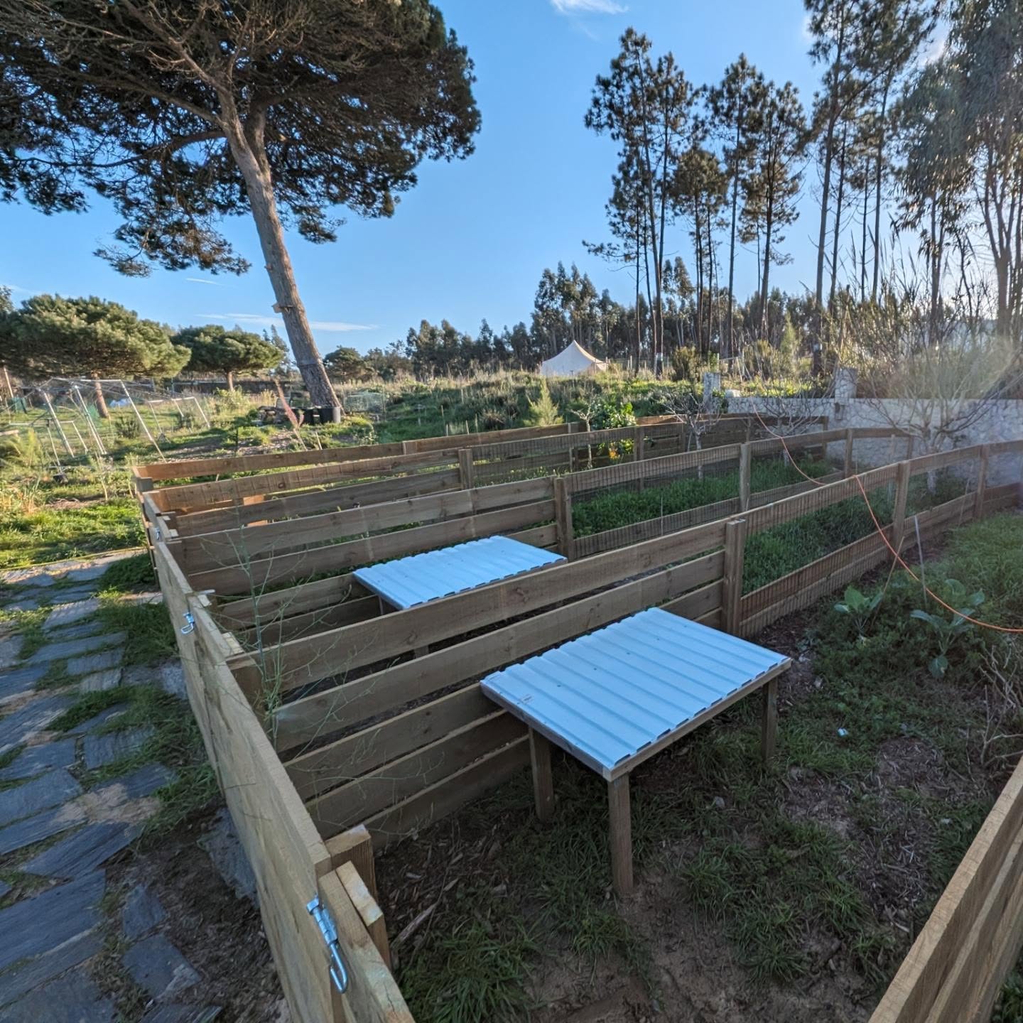 The nursery area completed and ready for business.