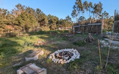 The fire pit , set up again in a new location. We fired it up last night to mark the departure of our guests who, after several wonderful months, are leaving.