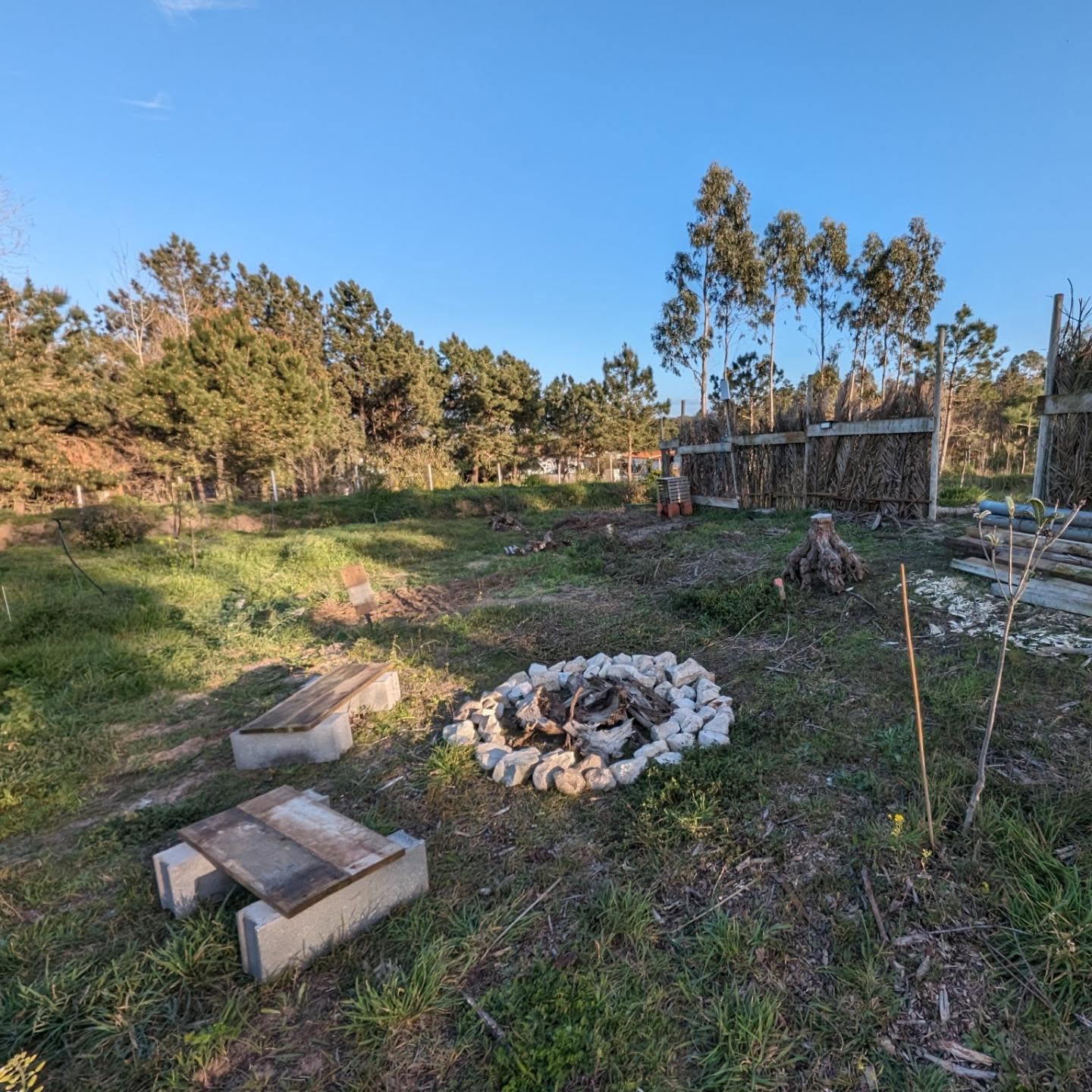 The fire pit , set up again in a new location. We fired it up last night to mark the departure of our guests who, after several wonderful months, are leaving.