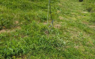 Mowed the playground and part of the east swale berm.