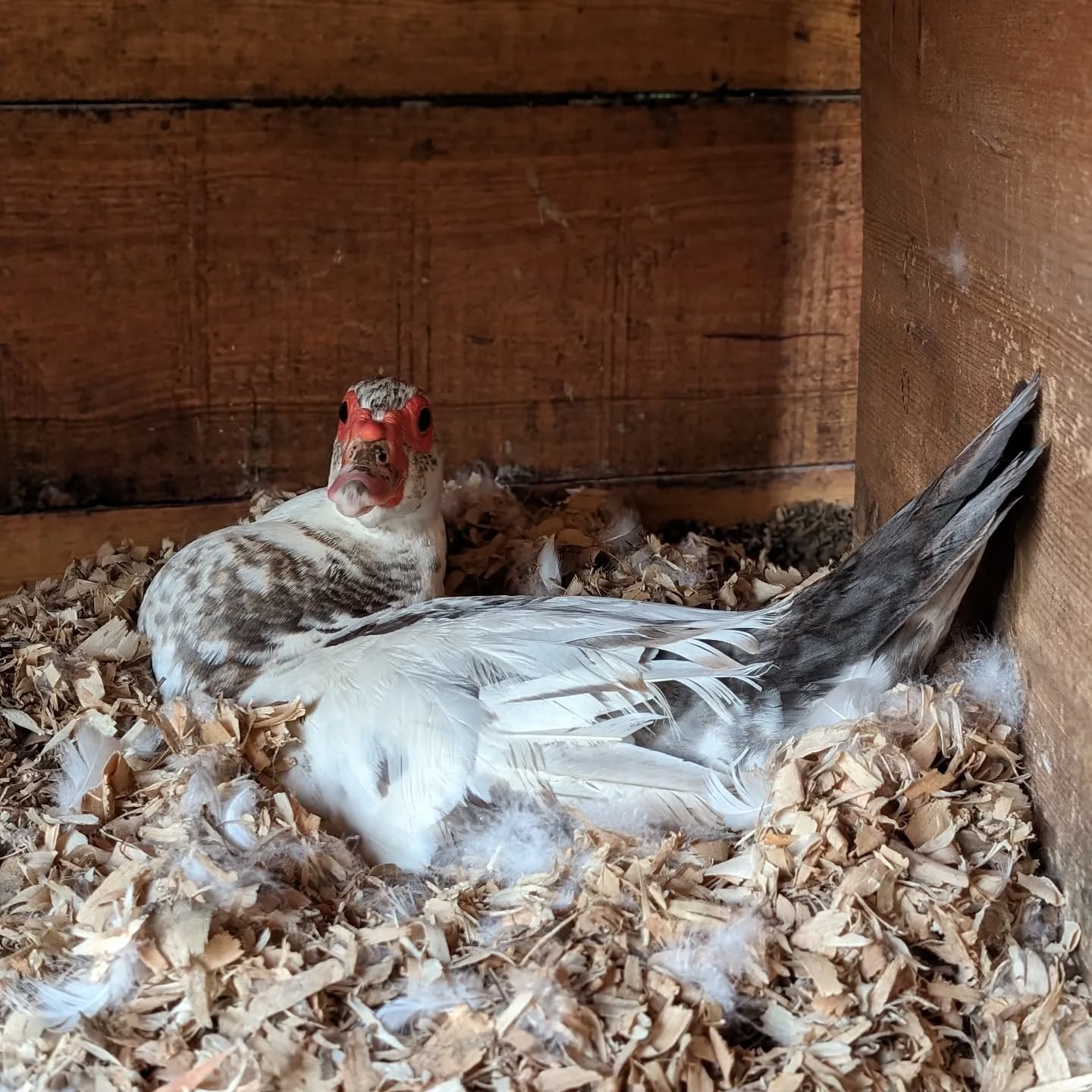 She’s getting ready to start a family!