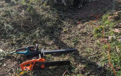 Another pile of biomass chopped.
