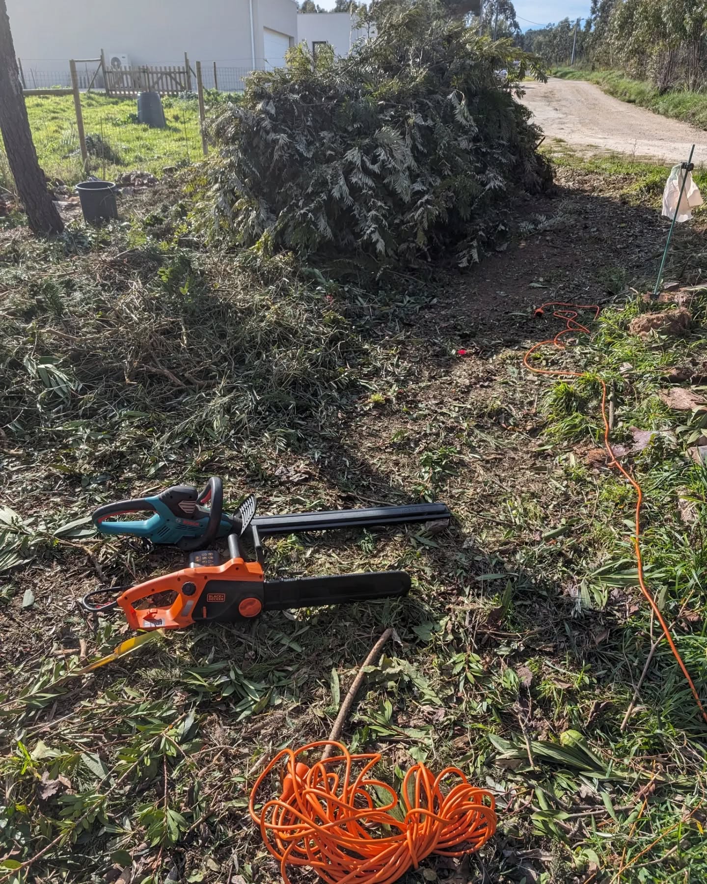 Another pile of biomass chopped.