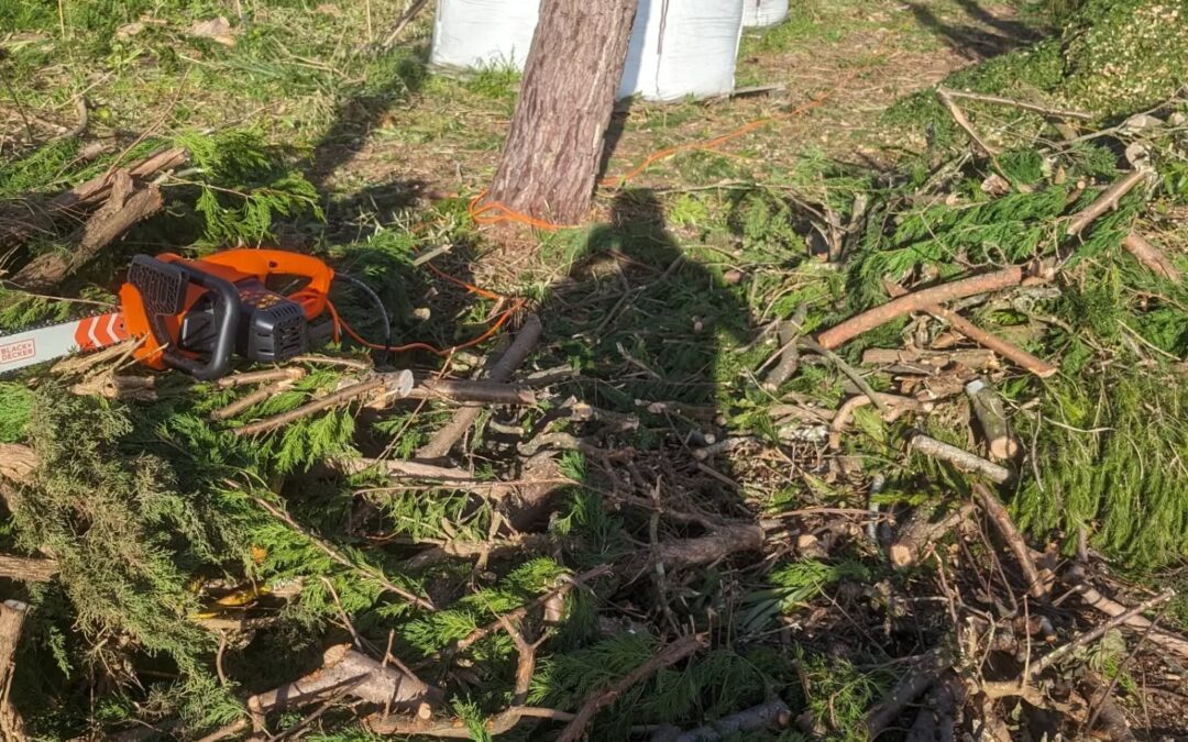 Switched to a corded electric chainsaw for chopping the larger biomass branches. Much better!