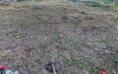 Cleaning and flattering the social circle to  turn it into a better event area.