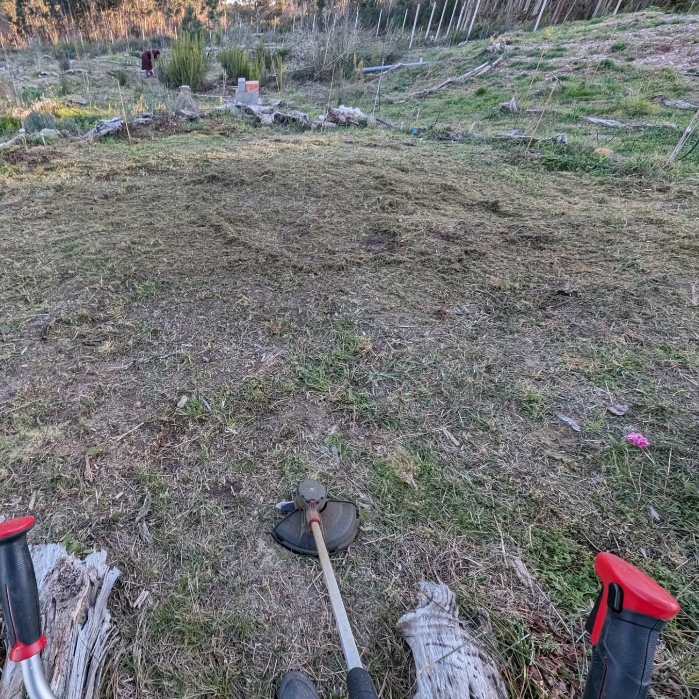 Cleaning and flattering the social circle to  turn it into a better event area.