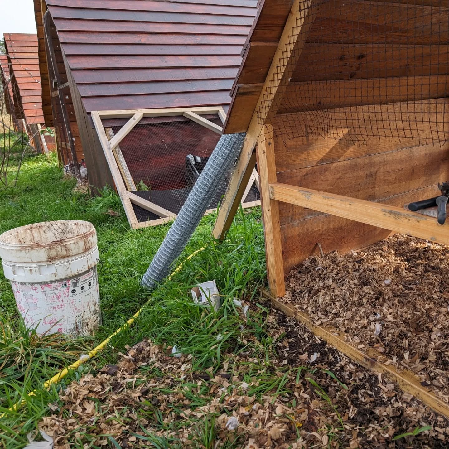 Fixed the mesh wall on coop 4.