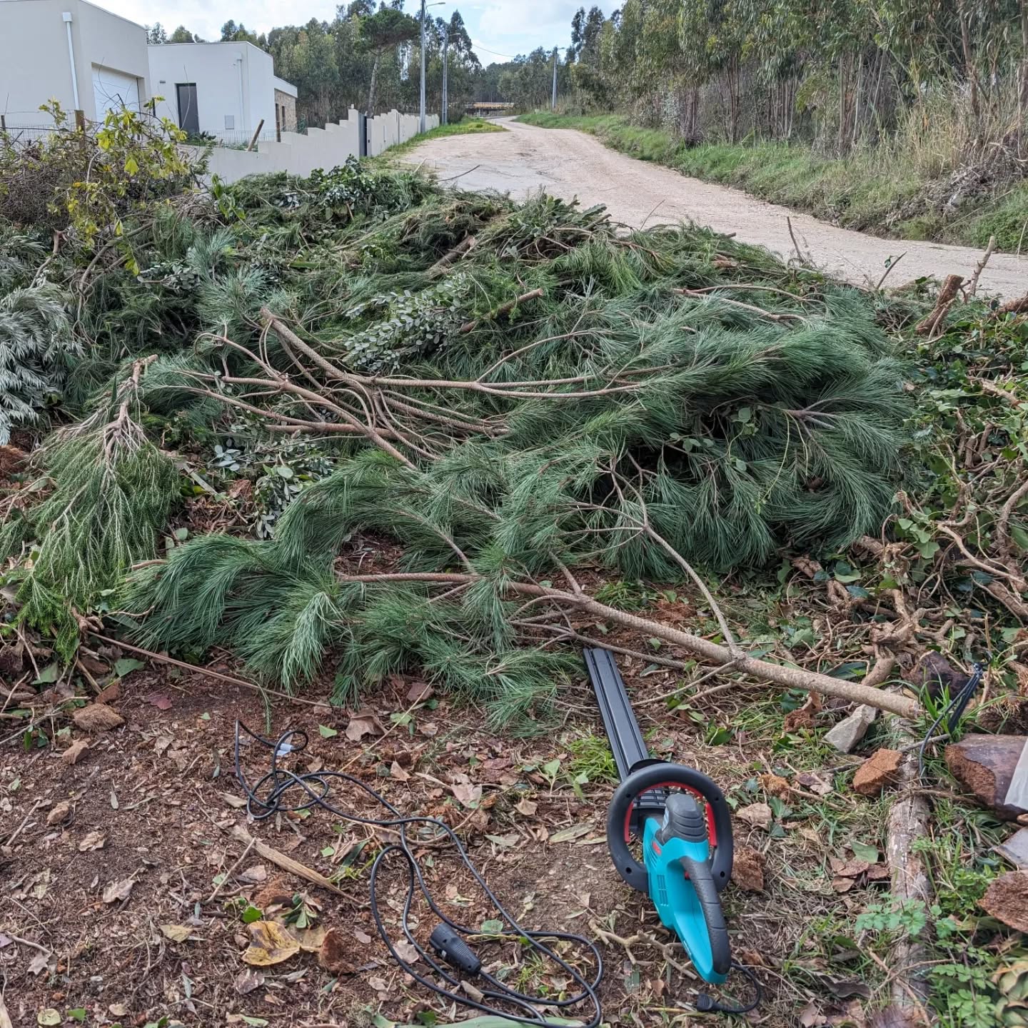 Another round of hedge trimmer powered biomass compaction.
