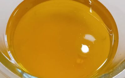 The broth wasn’t the last photo of the week, after all.  Cant resist adding a final, final photo: rendered fat from the skin. Between that, the ghee and the olive oil, we now have a great variety of cooking fats to choose from.