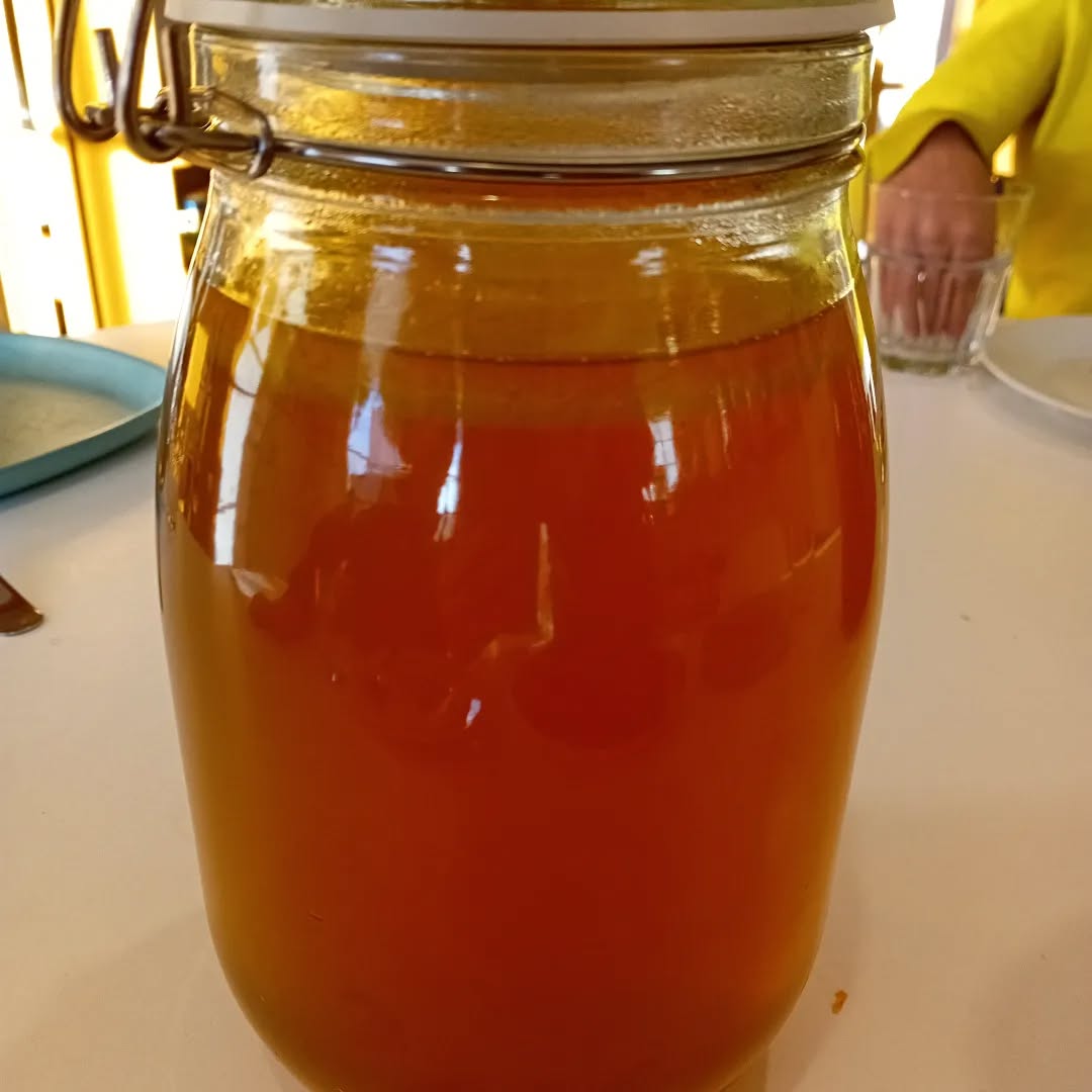 And the last photo of this homemade food bonanza this week: the duck broth. So much nutrition ready to make all meals even better.