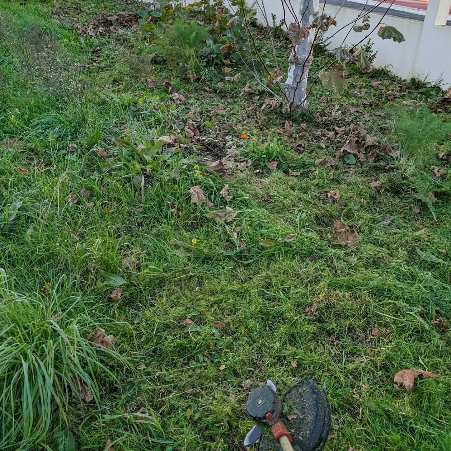 #cleaning the northeast corner.