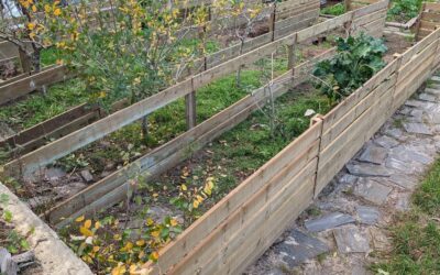 Progress on the bird nursery area.