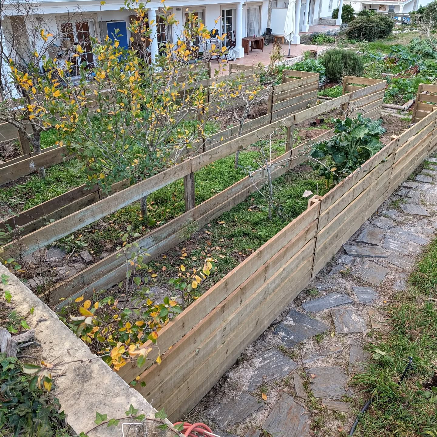 Progress on the bird nursery area.