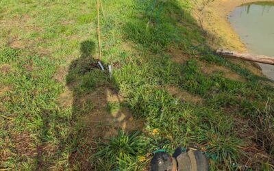 Mowing under the electric fence around the duck pond.