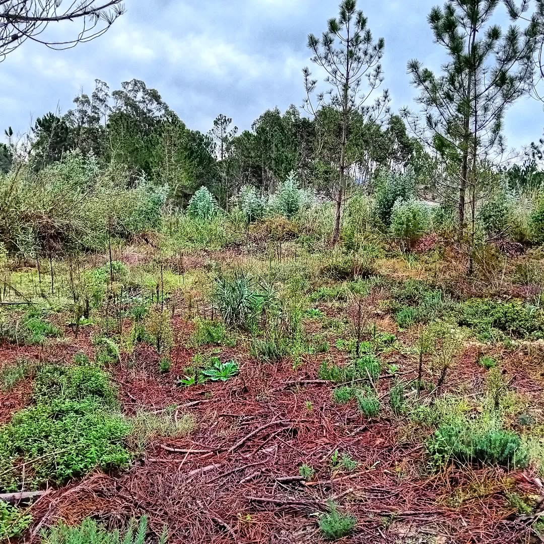 My gym this morning.
