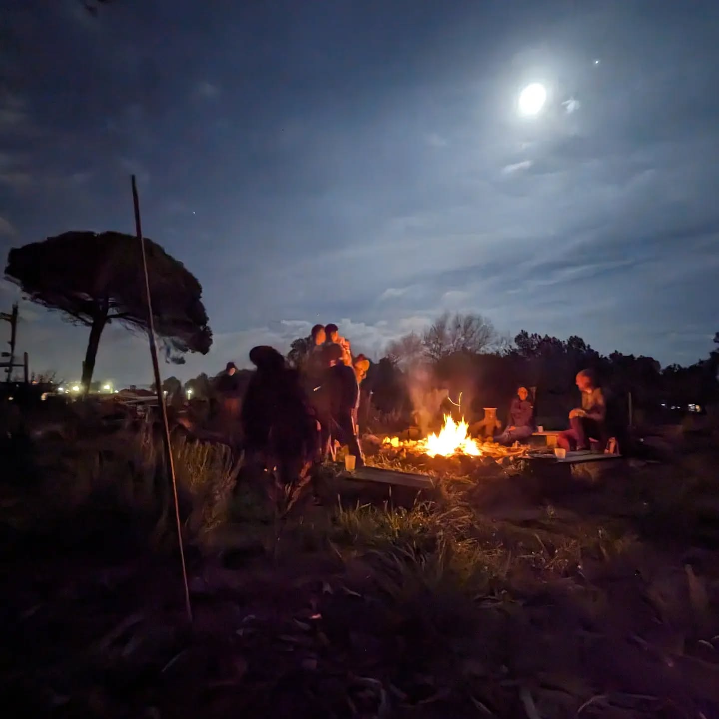 Moonlit campfire in the social circle.