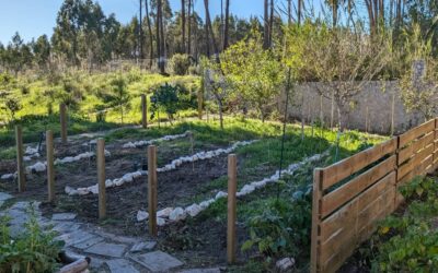 Bird nursery area continuing to take shape.