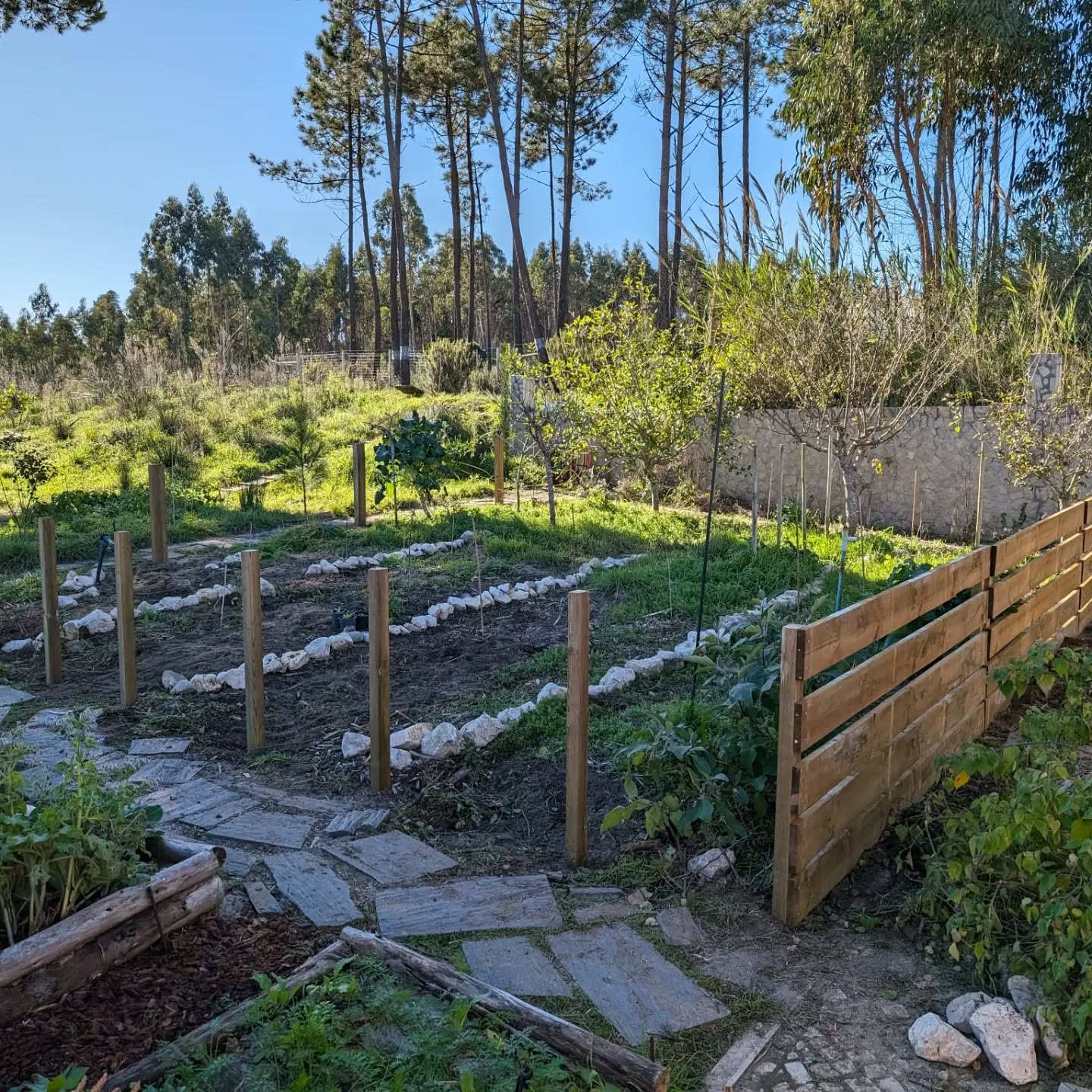 Bird nursery area continuing to take shape.