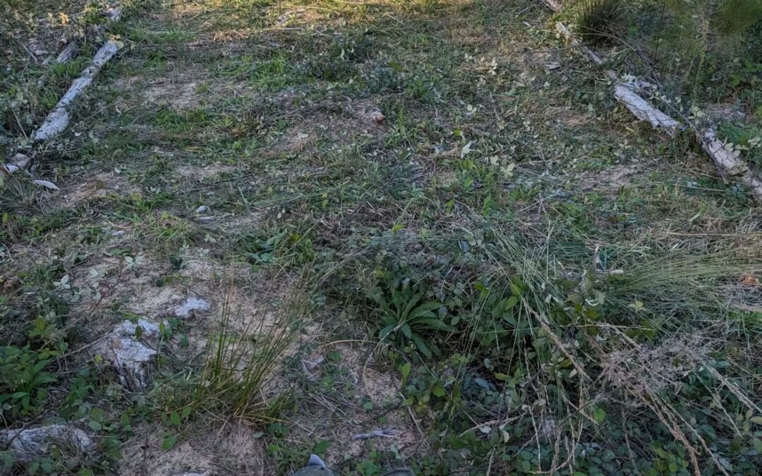 Cleaning access paths in zone 3.