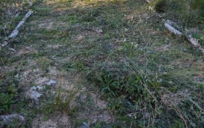 Cleaning access paths in zone 3.