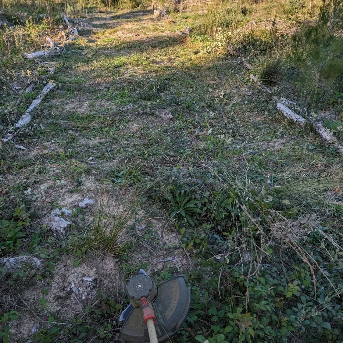 Cleaning access paths in zone 3.