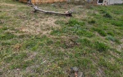 Mowing the future playground area. Just north of it, our guests are building terraced beds for perennial vegetables.