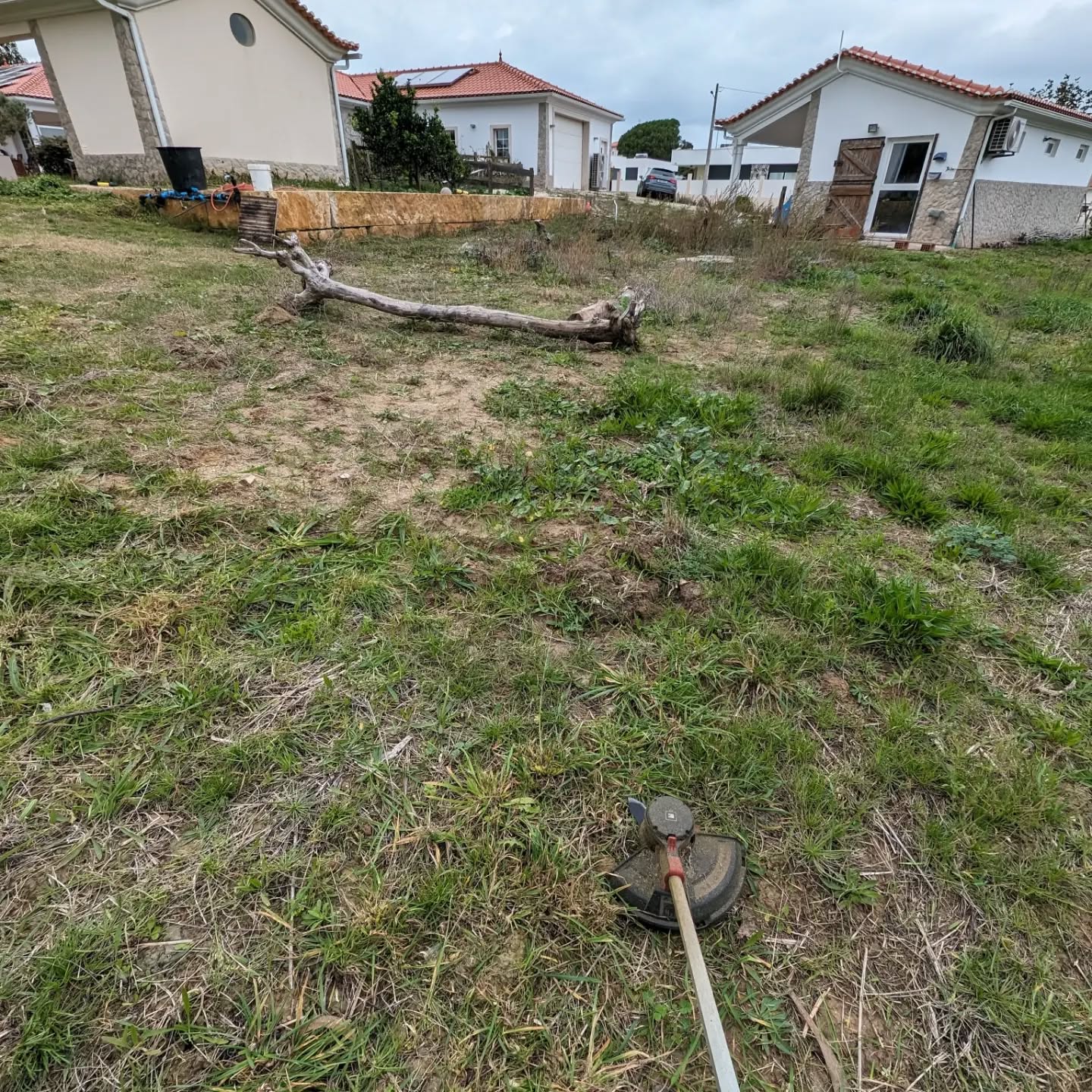 Mowing the future playground area. Just north of it, our guests are building terraced beds for perennial vegetables.