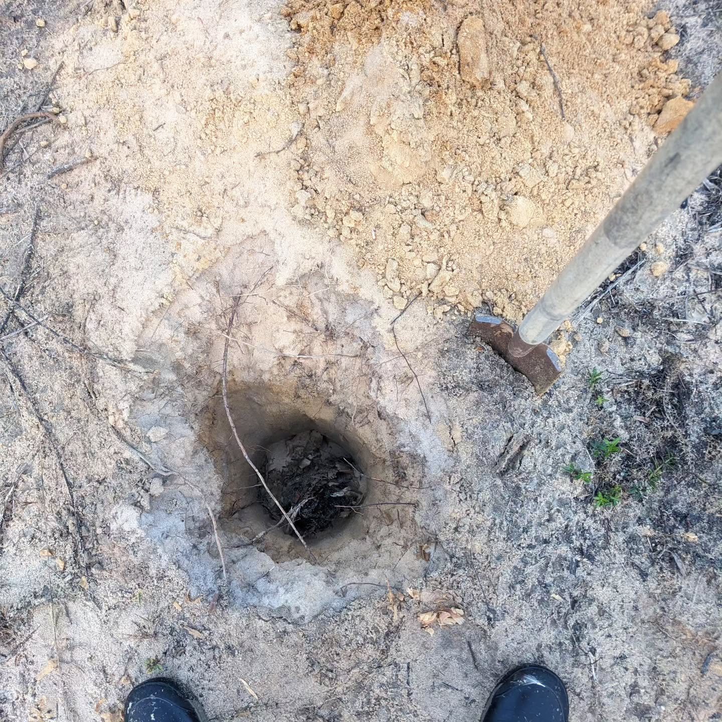 Duck down 😵‍💫