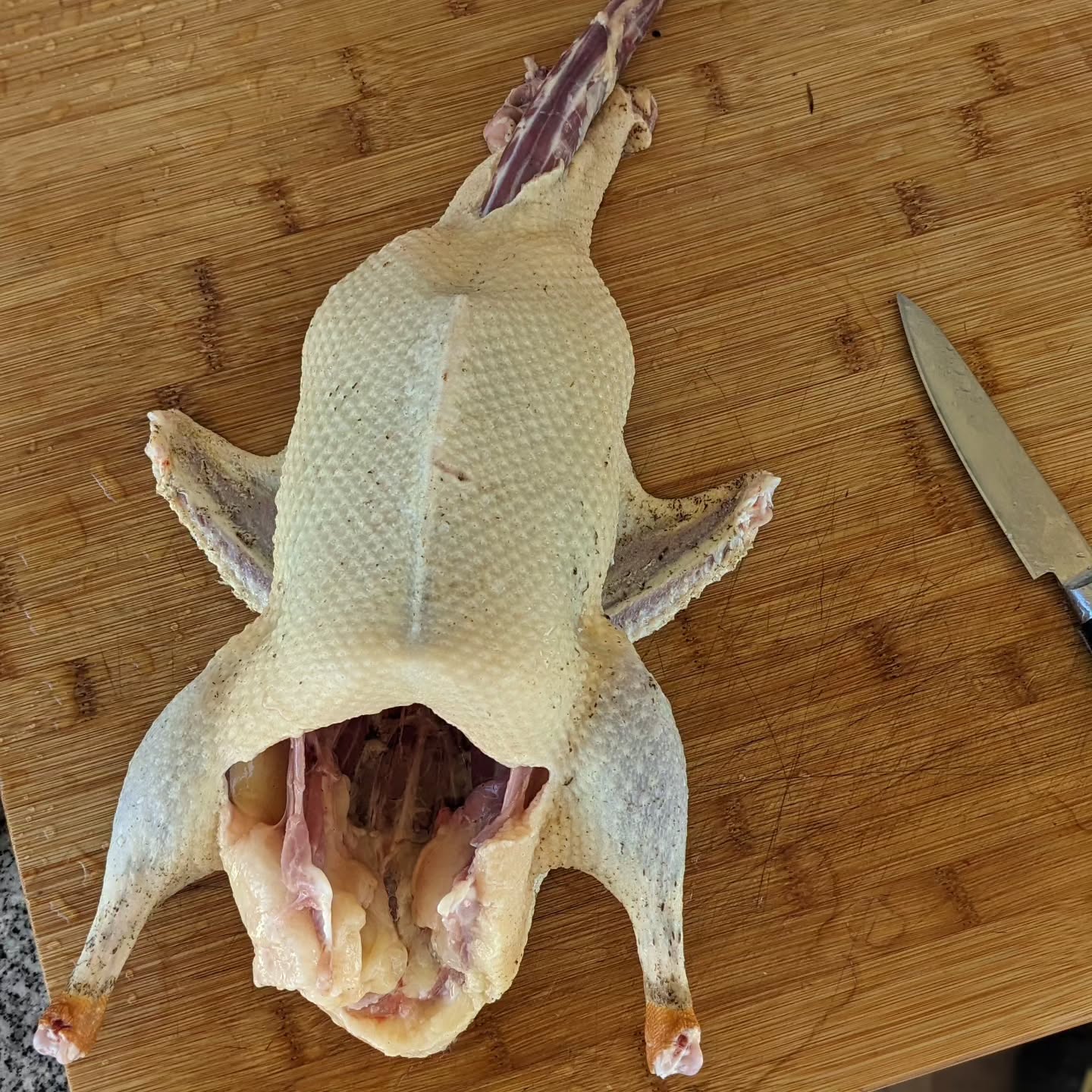 The first of the surplus Khaki Campbell drake’s on its way to the oven.