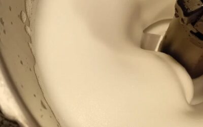 A vegan chocolate fondant requires vegan “egg whites”.