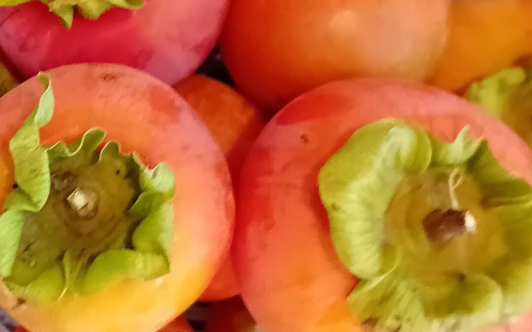 A gift from a friend and a gift from the garden.
