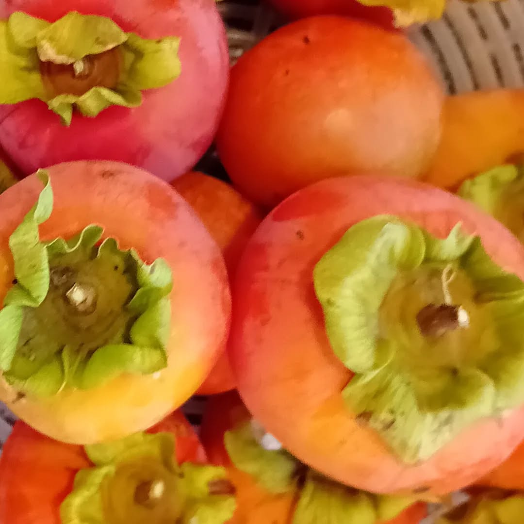 A gift from a friend and a gift from the garden.