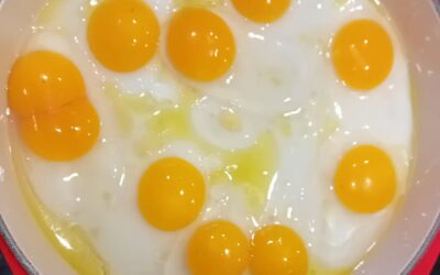 Thank you, beautiful ducks, for this nourishing breakfast