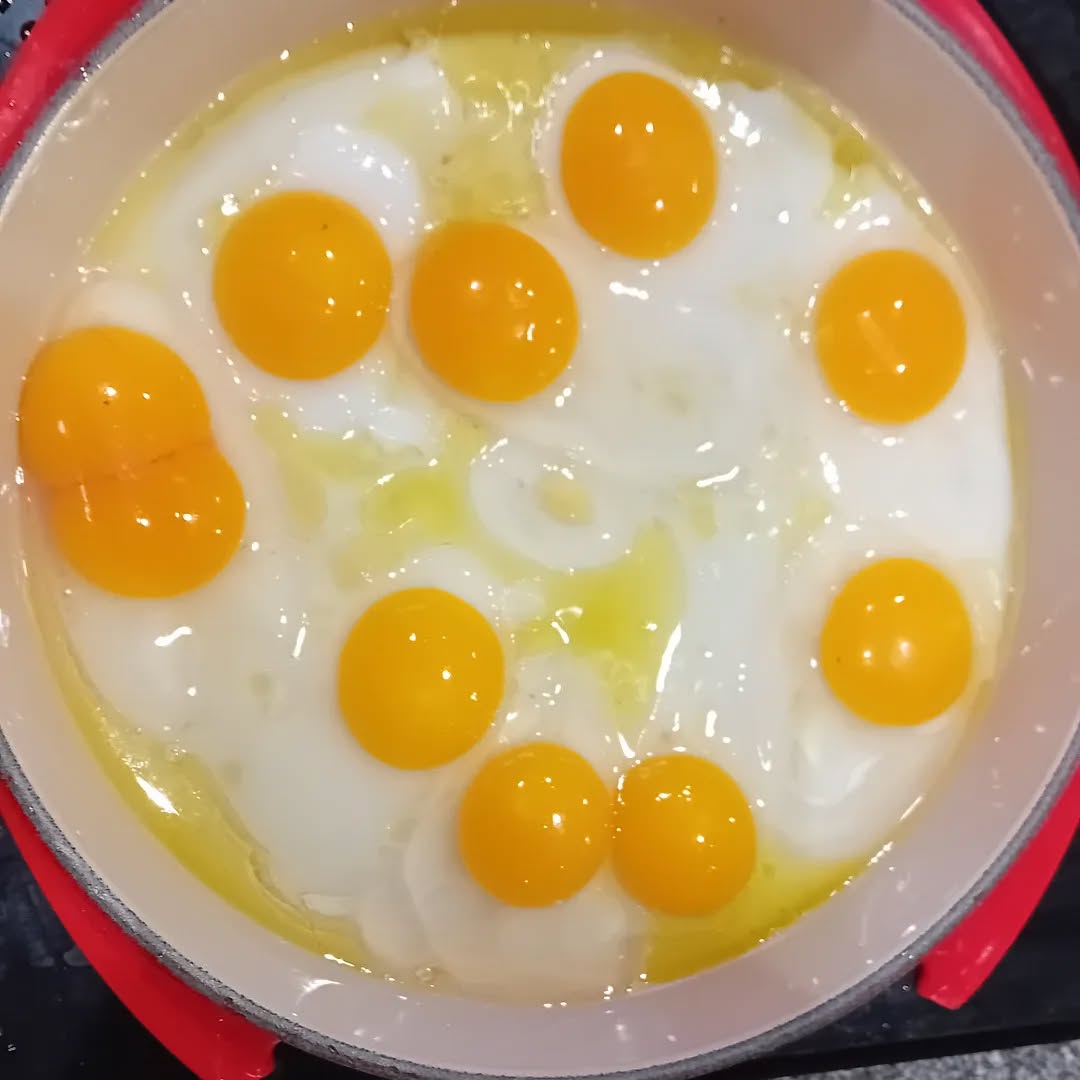 Thank you, beautiful ducks, for this nourishing breakfast