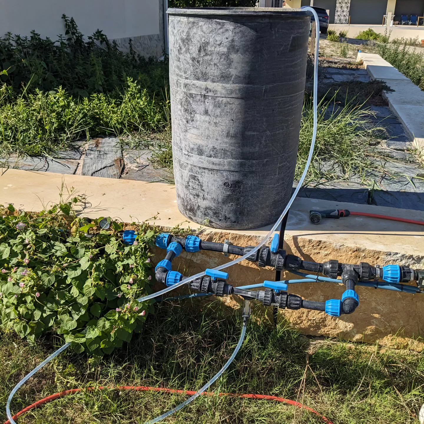 Applying JADAM microbial solution (JMS).