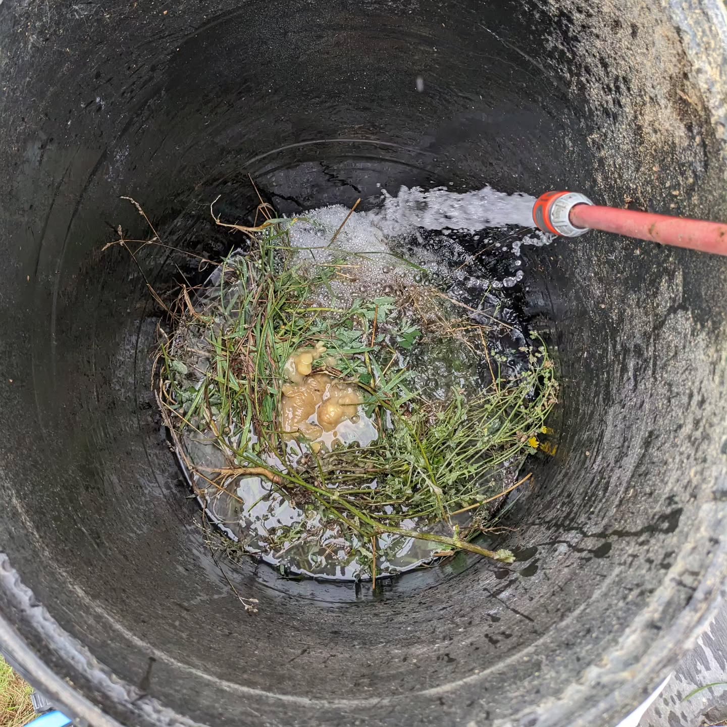 Mixing up a new batch of JADAM microbial solution.