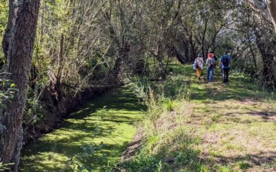 Eco-walk at @paul_de_tornada