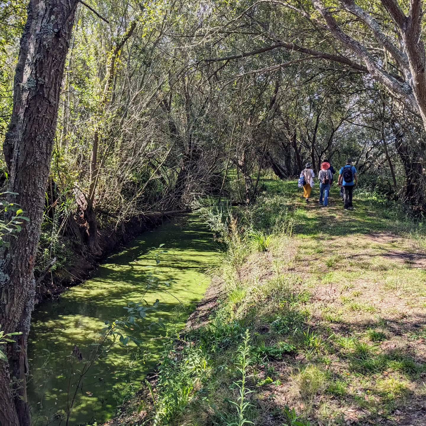 Eco-walk at @paul_de_tornada