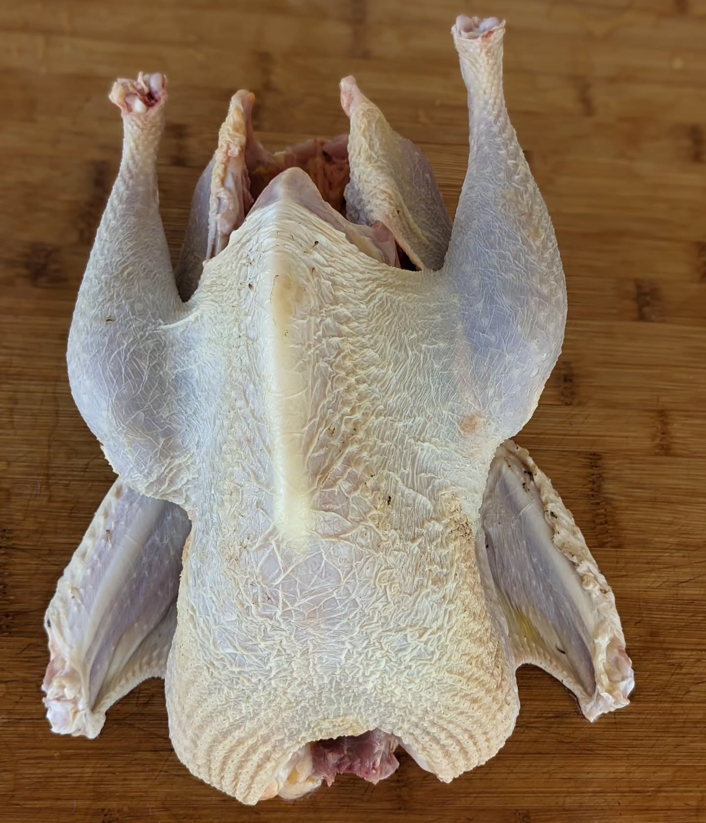 Our turkey raising enterprise is over (for now) as of yesterday.