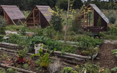 Cleaning the veggie garden.