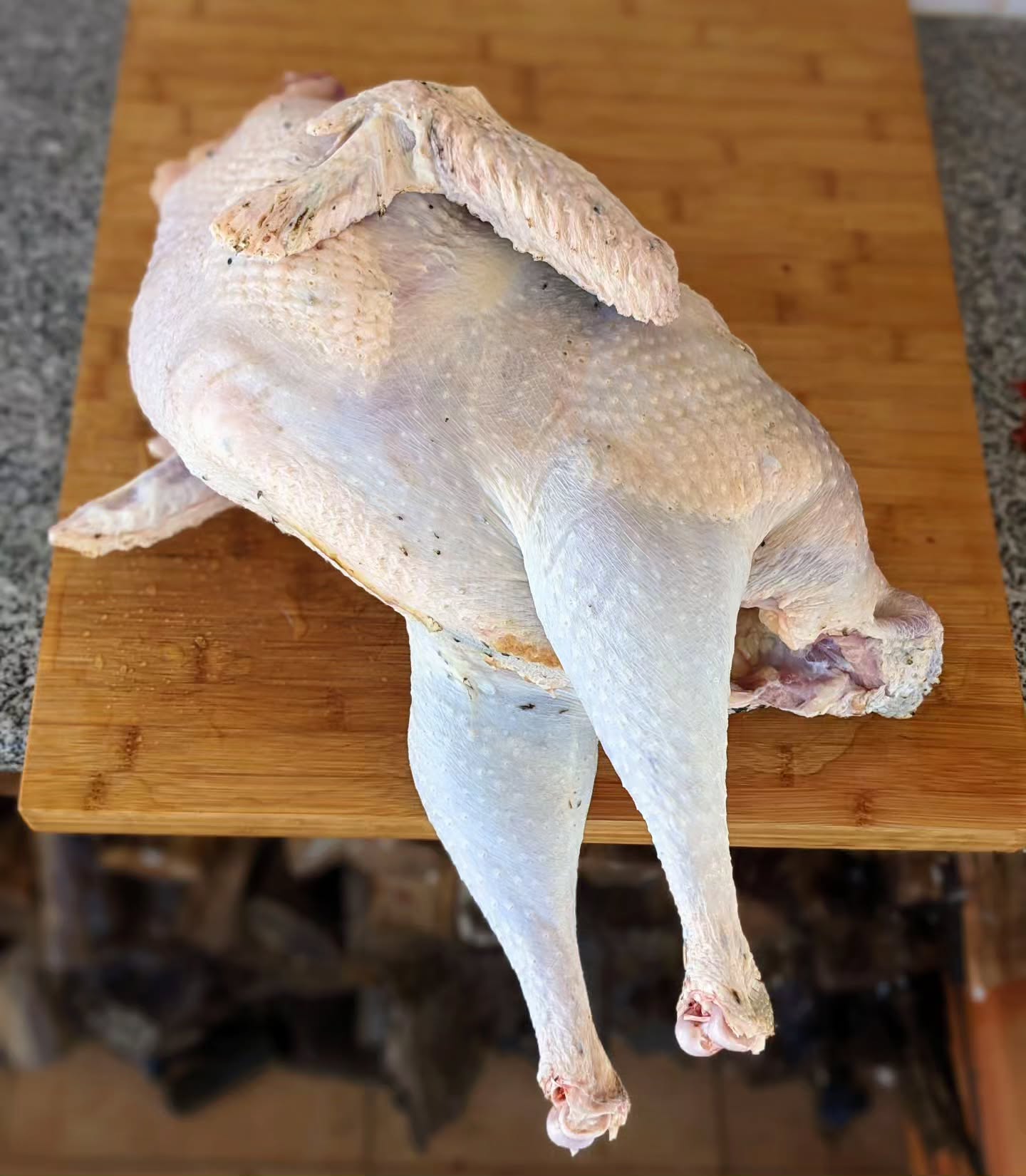We harvested the male turkey today. He had fulfilled his purpose and seemed to be bored / harassing the female (who is still sitting on her eggs).