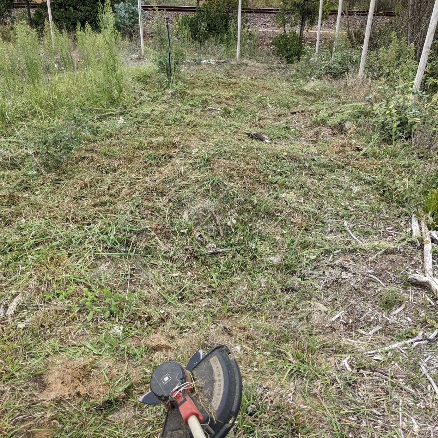 Punctured the irrigation mainline while #cleaning along the southern edge of #zone3
