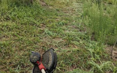 #cleaning eastern access route into #zone3