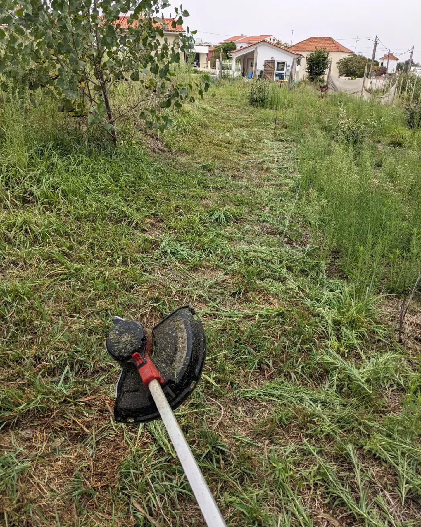 #cleaning eastern access route into #zone3