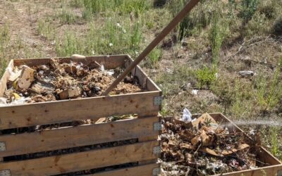 Starting a new batch of compost.