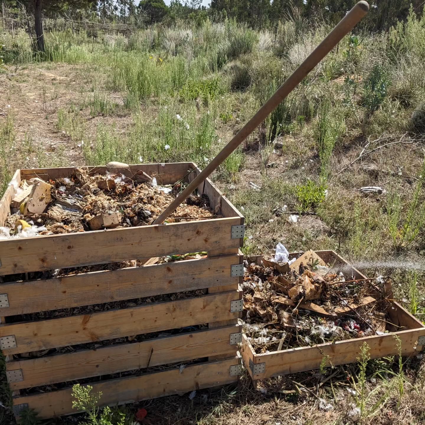 Starting a new batch of compost.