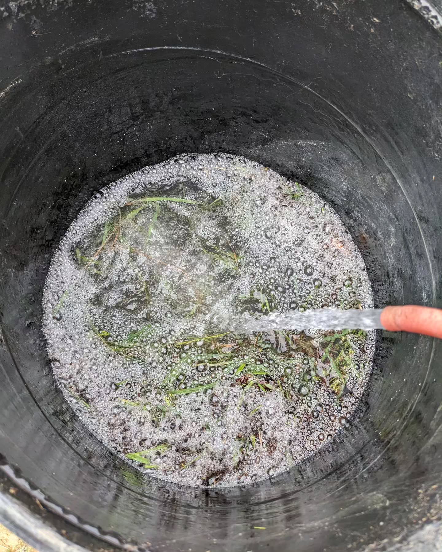 Mixing up a new batch of JADAM microbial solution (JMS).