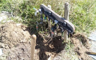 Started work on the next stage of zone 1 irrigation plumbing and wiring.